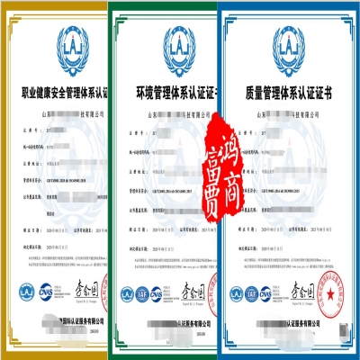 山東省ISO9001認(rèn)證ISO14001環(huán)境ISO45001認(rèn)證 三體系認(rèn)證